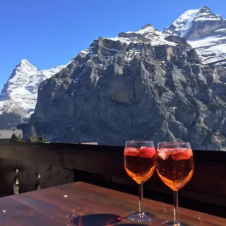 Appartement Chalet Traumli - In The Heart Of Idyllic *